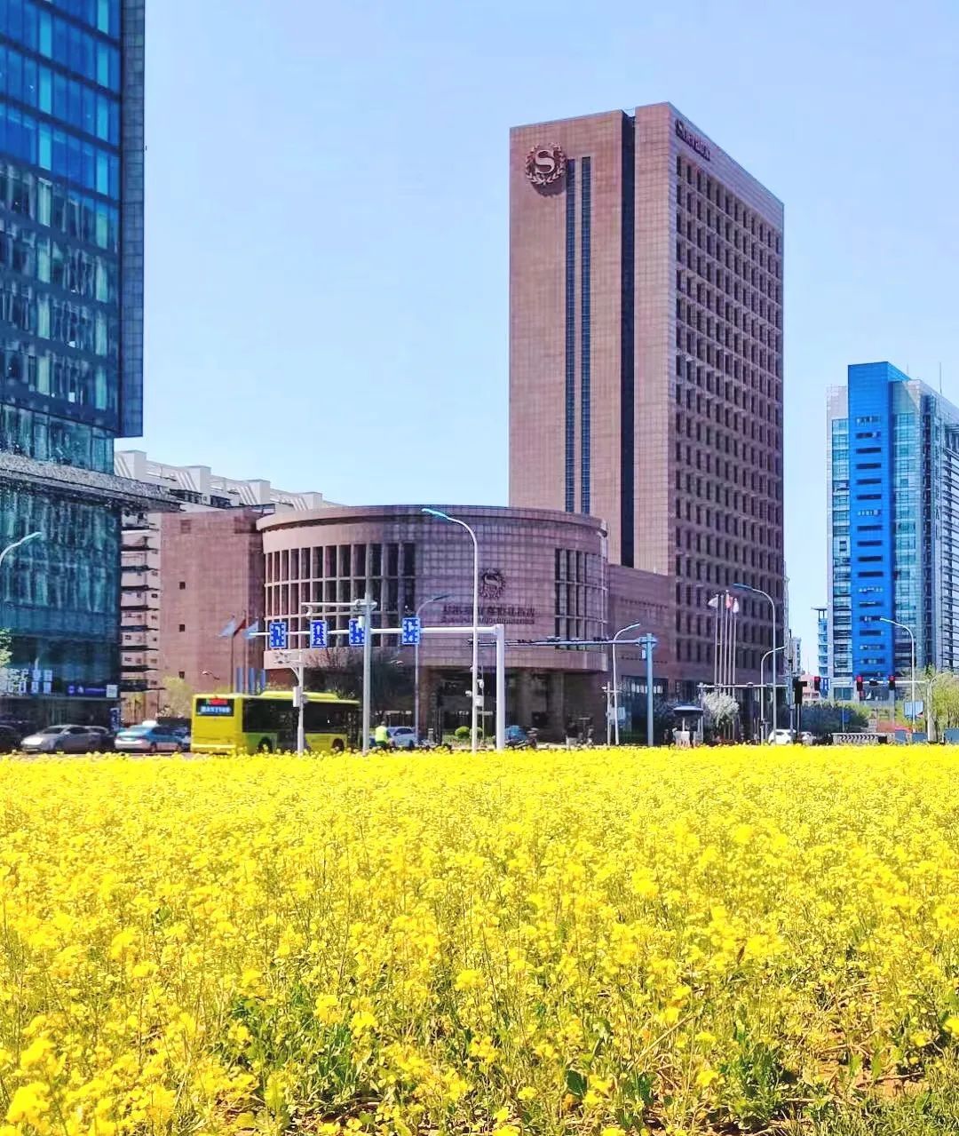 濱海(hǎi)喜來(lái)登丨共度假期 安心入住 專享禮遇